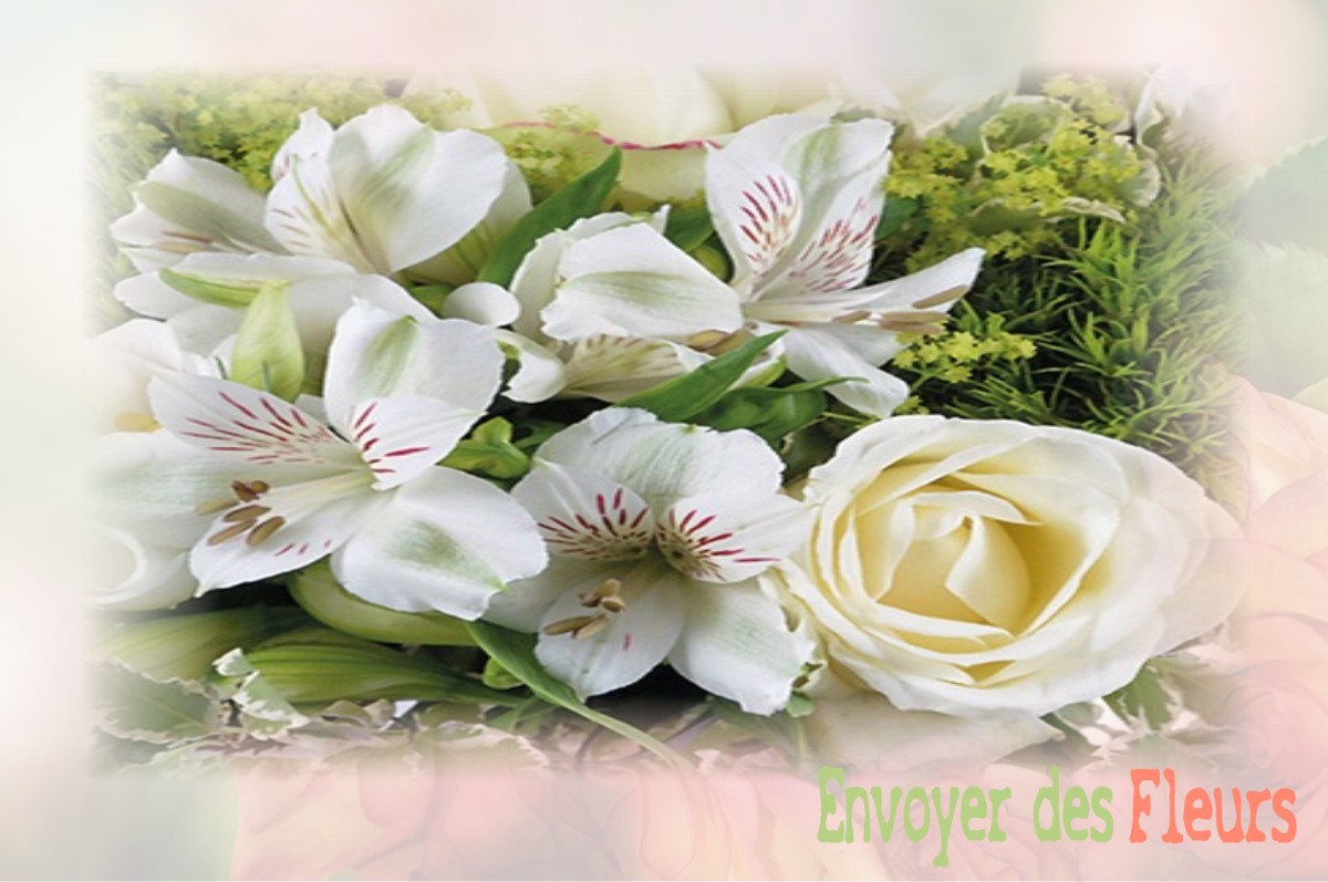 envoyer des fleurs à à ROVILLE-AUX-CHENES